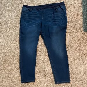 Terra & Sky size 3x(24-26) skinny Jean